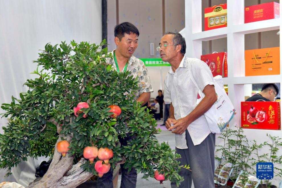 平博在哪里下载